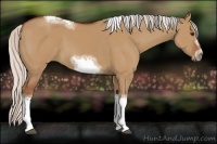 Horse Color:Silver Bay Dun Sabino Tobiano Frame Rabicano
