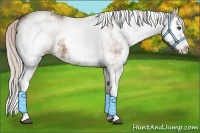 Horse Color:White Spotted Silver Bay Splash