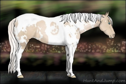 Horse Color:White Spotted Silver Smoky Black Pearl Tobiano 