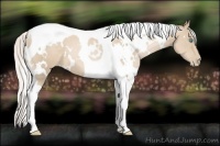Horse Color:White Spotted Silver Smoky Black Pearl Tobiano 