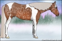 Horse Color:Silver Bay Ice Tobiano