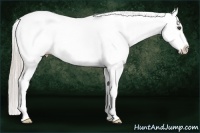 Horse Color:White Spotted Silver Bay Splash 
