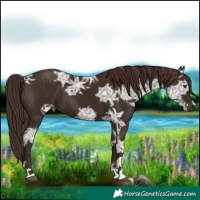 Horse Color:Liver Chestnut Ice 