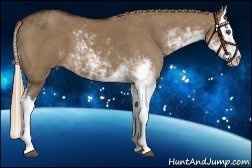 Horse Color:Liver Red Dun Sabino Splash 