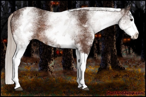 Horse Color:White Spotted Silver Bay Splash 