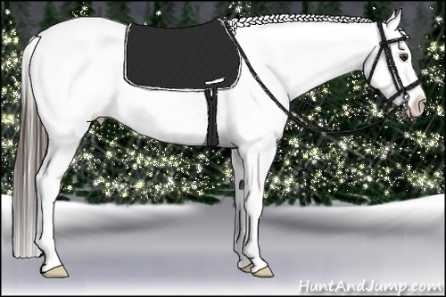 Horse Color:Liver Chestnut Tobiano Appaloosa 