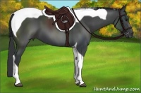Horse Color:Black Tobiano