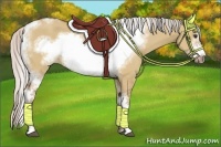 Horse Color:Silver Bay Dun Sabino Tobiano Frame Rabicano 