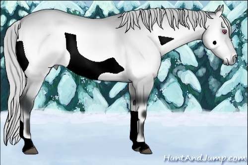 Horse Color:Silver Buckskin Chinchilla Onyx 