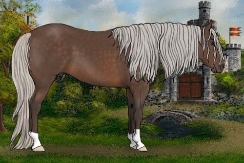Horse Color:Silver Brown 