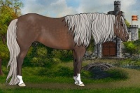 Horse Color:Silver Brown 