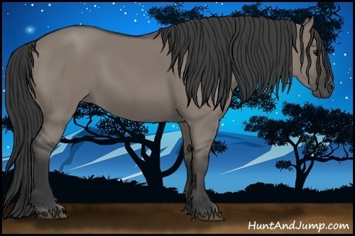 Horse Color:Grullo
