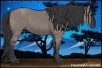 Horse Color:Grullo