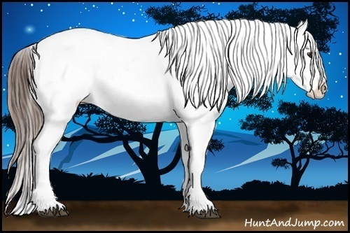 Horse Color:Liver Chestnut Sabino Appaloosa Rabicano 