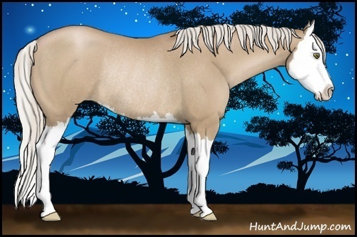 Horse Color:Silver Blue Roan Pearl Splash Rabicano 