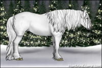 Horse Color:Gray Chestnut 