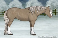 Horse Color:Silver Grullo Splash