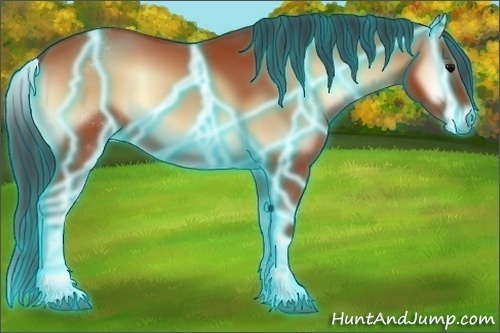Horse Color:Thunderstruck White Spotted Bay Onyx 