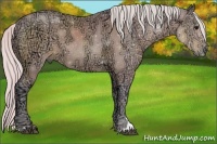 Horse Color:Watercolor Silver Black Ice Sabino 