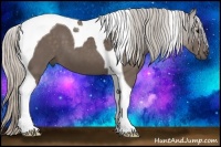 Horse Color:Silver Black Tobiano 