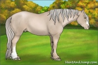 Horse Color:Chocolate Palomino Pearl Frame