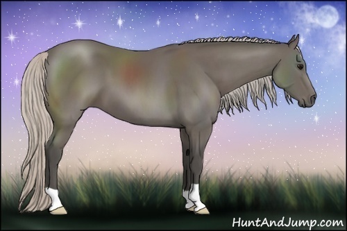 Horse Color:Silver Black 