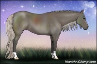 Horse Color:Silver Black 