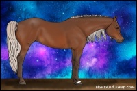 Horse Color:Silver Bay 
