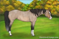Horse Color:Bay Roan Dun Splash 