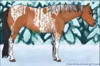 Horse Color:Bay Tobiano  and Bay Tobiano Rabicano 