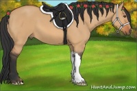 Horse Color:Bay Dun