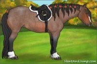 Horse Color:Bay Roan Sabino Frame 