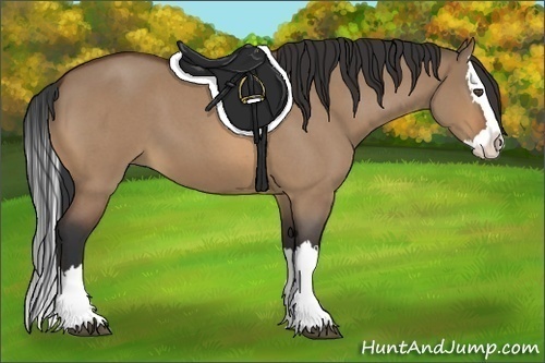 Horse Color:Bay Roan Dun Splash 