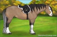 Horse Color:Bay Roan Dun Splash