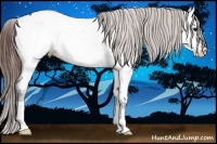 Horse Color:Bay Roan Dun Near Fewspot