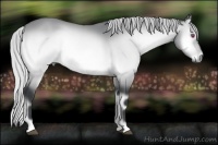 Horse Color:Silver Bay Chinchilla Onyx 