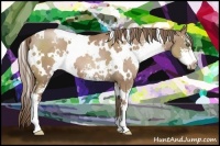 Horse Color:White Spotted Black Pearl Sabino