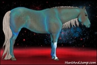 Horse Color:Silver Black 