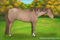 Horse Color:Black Pearl Sabino