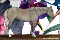 Horse Color:Silver Grullo 