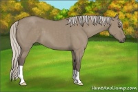 Horse Color:Silver Grullo 