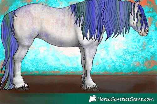 Horse Color:Watercolor White Spotted Brown Roan Onyx Rabicano  and Watercolor White Spotted Blue Onyx Roan Rabicano 