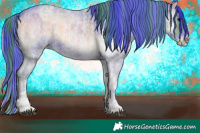 Horse Color:Watercolor White Spotted Brown Roan Onyx Rabicano  and Watercolor White Spotted Blue Onyx Roan Rabicano 