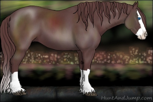 Horse Color:Chocolate Black Splash 