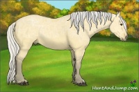 Horse Color:Silver Buckskin Ice Dun Rabicano 