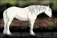 Horse Color:Cremello Ice Dun Splash 