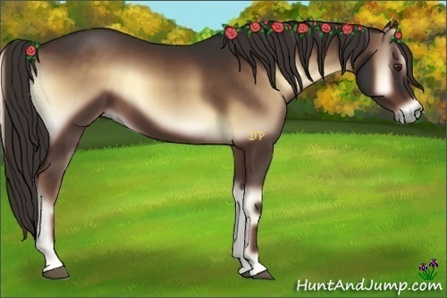 Horse Color:Liver Red Onyx Sabino 
