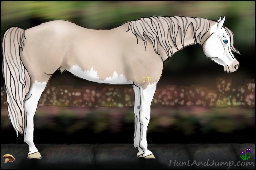 Horse Color:Chocolate Palomino Pearl Splash 