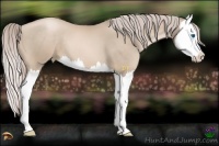 Horse Color:Chocolate Palomino Pearl Splash
