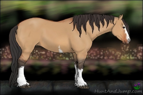 Horse Color:White Spotted Bay Dun Sabino 